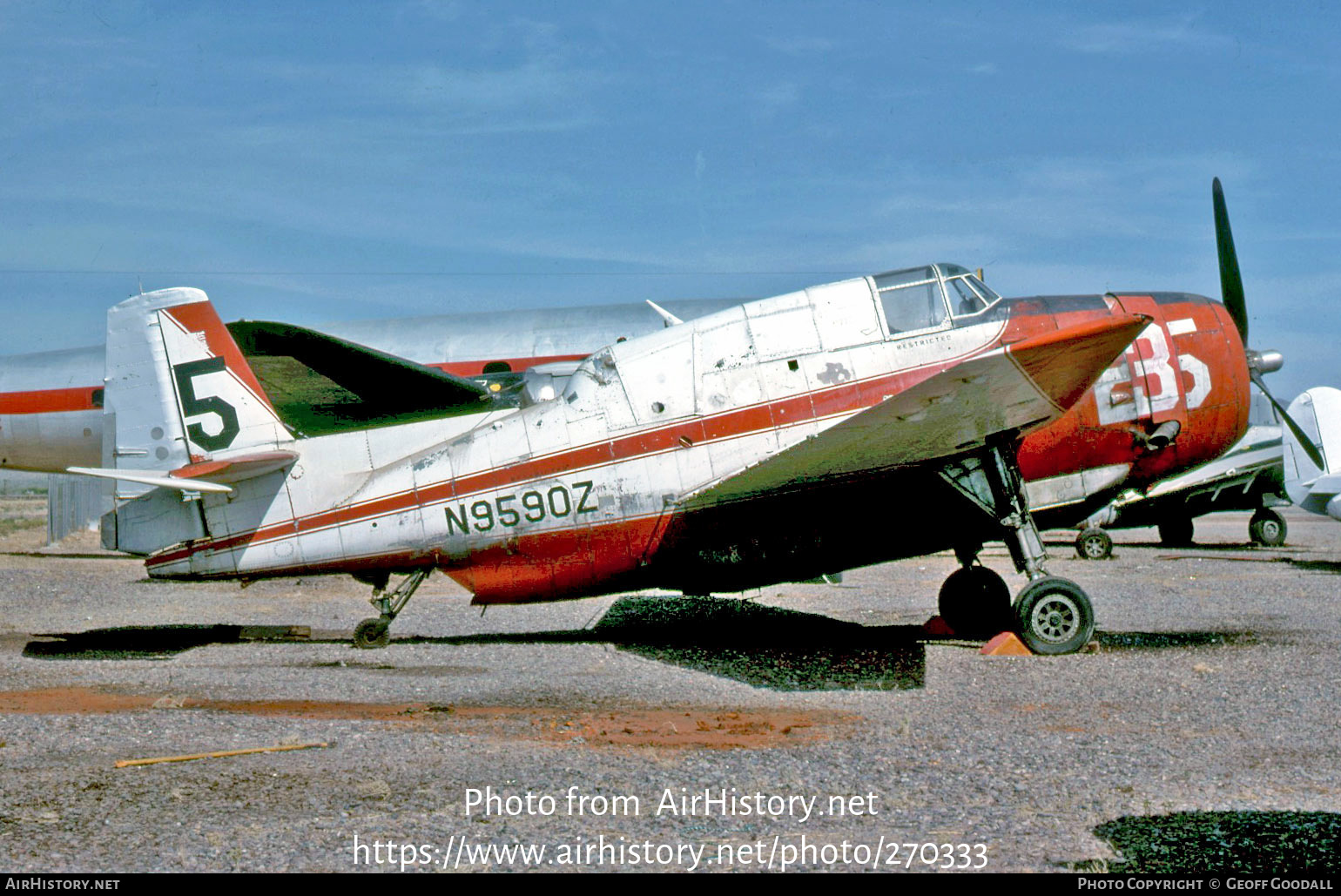 Aircraft Photo of N9590Z | General Motors TBM-3/AT Avenger | AirHistory.net #270333