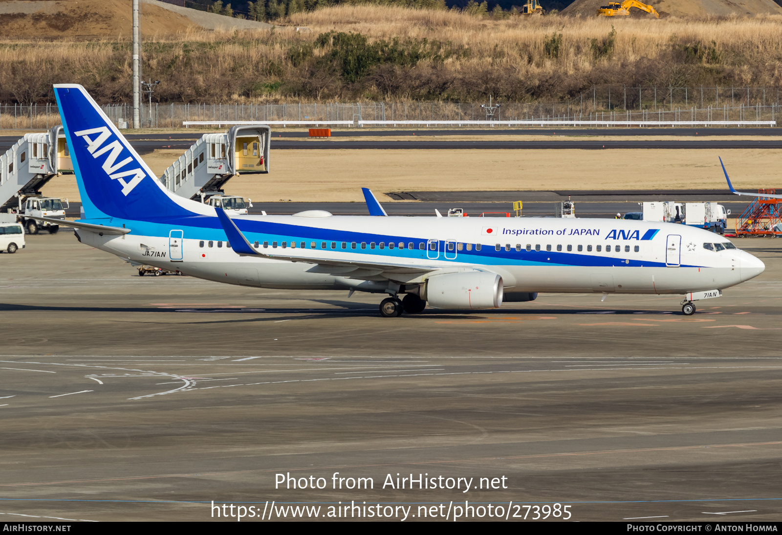 Aircraft Photo of JA71AN | Boeing 737-881 | All Nippon Airways - ANA | AirHistory.net #273985