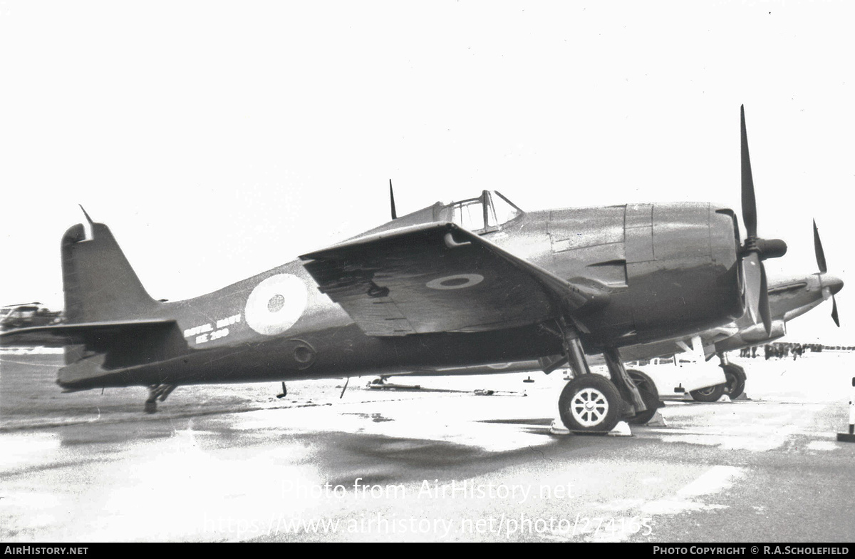 Aircraft Photo of KE209 | Grumman Hellcat II (G-50) | UK - Navy | AirHistory.net #274165