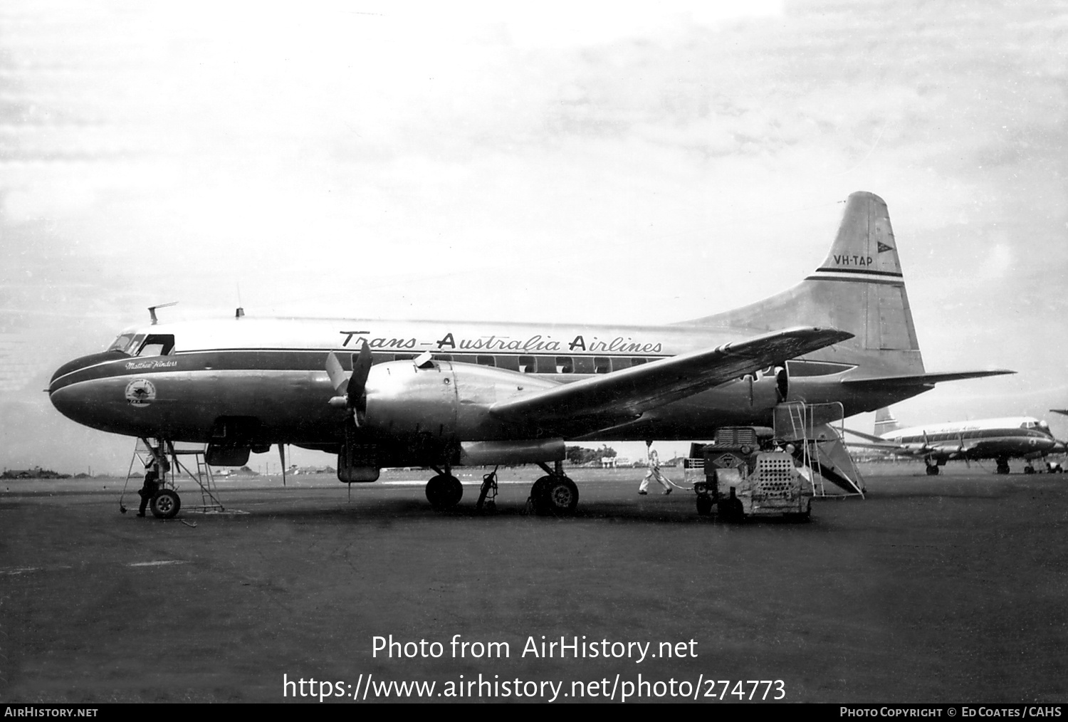 Aircraft Photo of VH-TAP | Convair 240-5 | Trans-Australia Airlines - TAA | AirHistory.net #274773