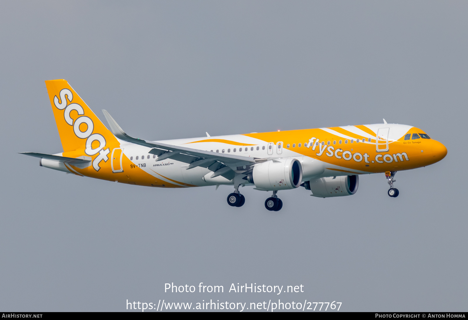 Aircraft Photo of 9V-TNB | Airbus A320-271N | Scoot | AirHistory.net #277767