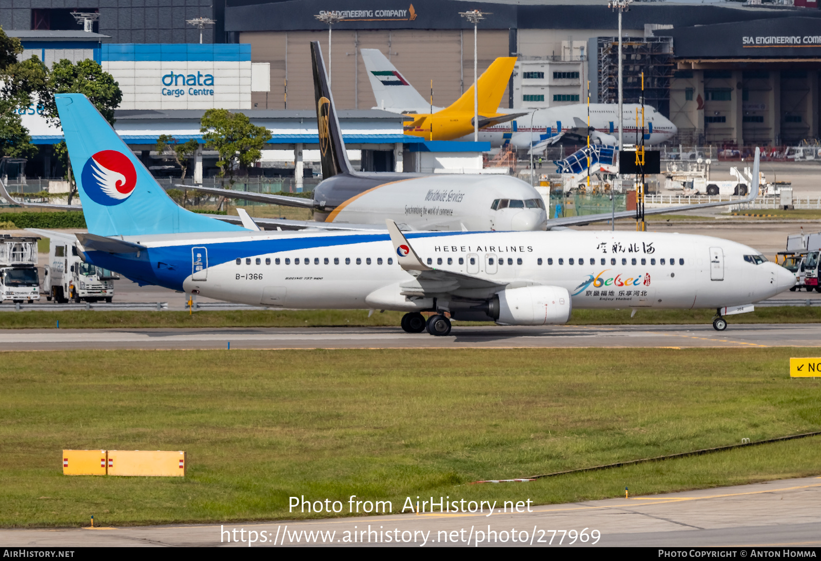 Aircraft Photo of B-1366 | Boeing 737-800 | Hebei Airlines | AirHistory.net #277969