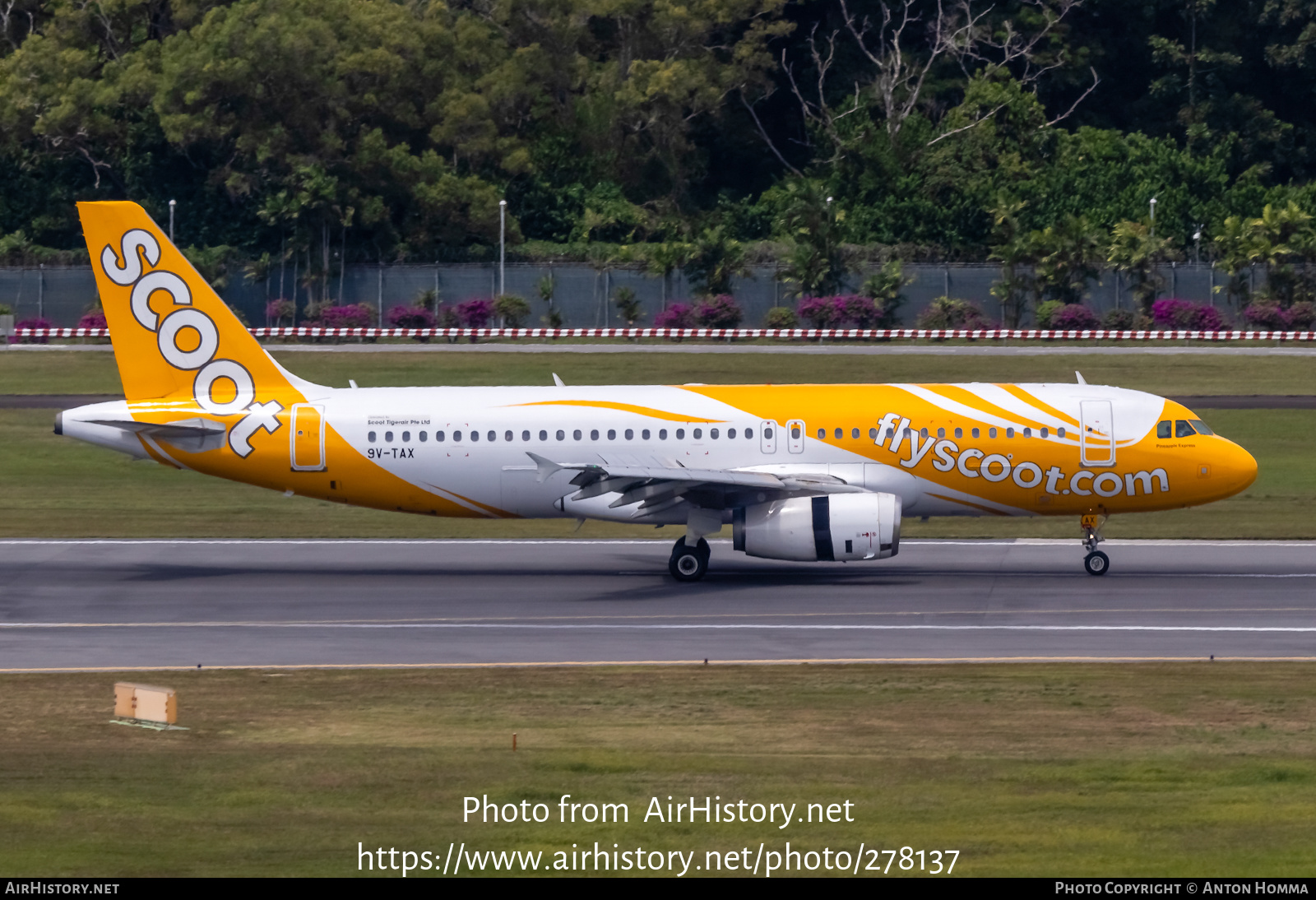 Aircraft Photo of 9V-TAX | Airbus A320-232 | Scoot | AirHistory.net #278137