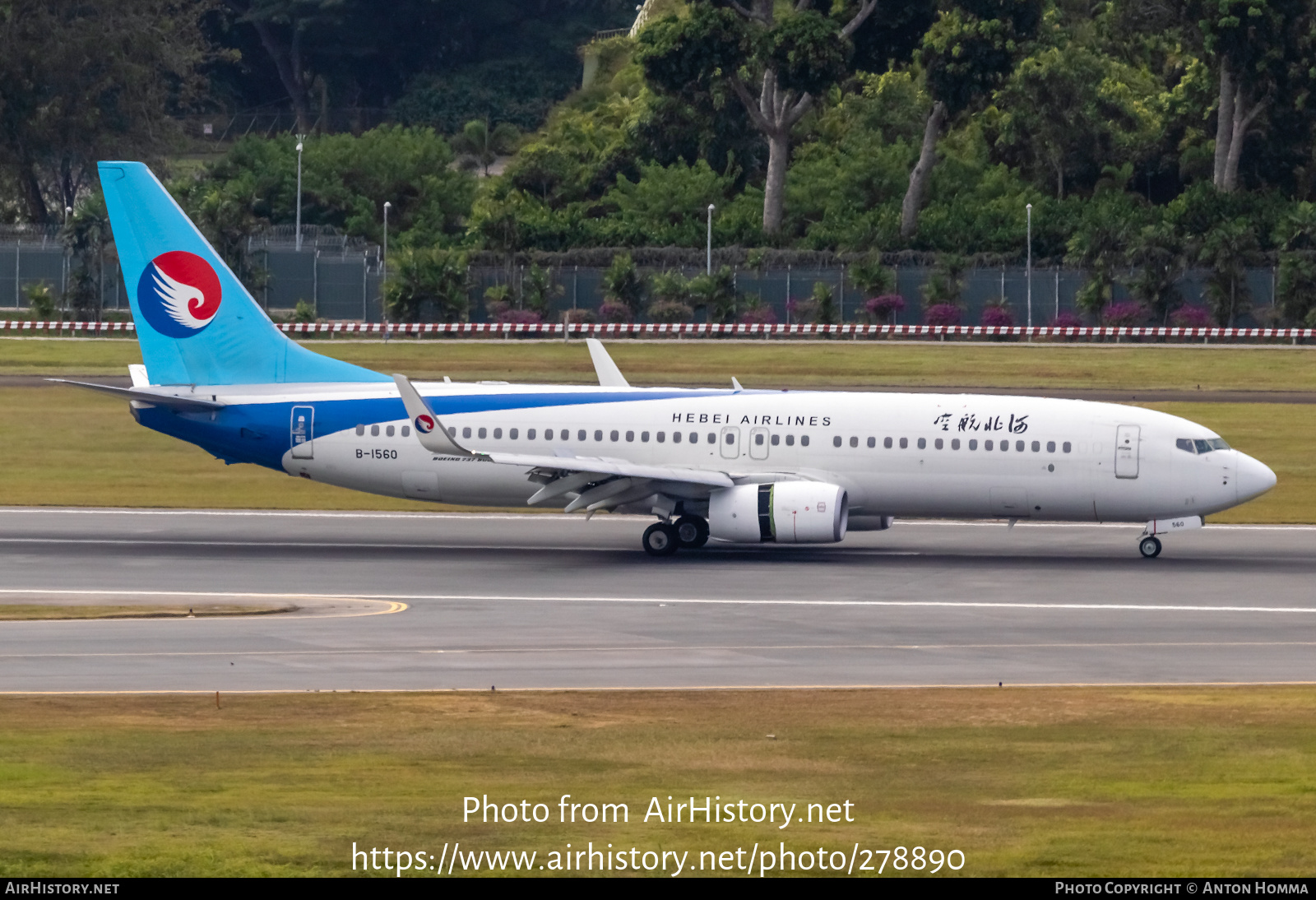 Aircraft Photo of B-1560 | Boeing 737-8LW | Hebei Airlines | AirHistory.net #278890