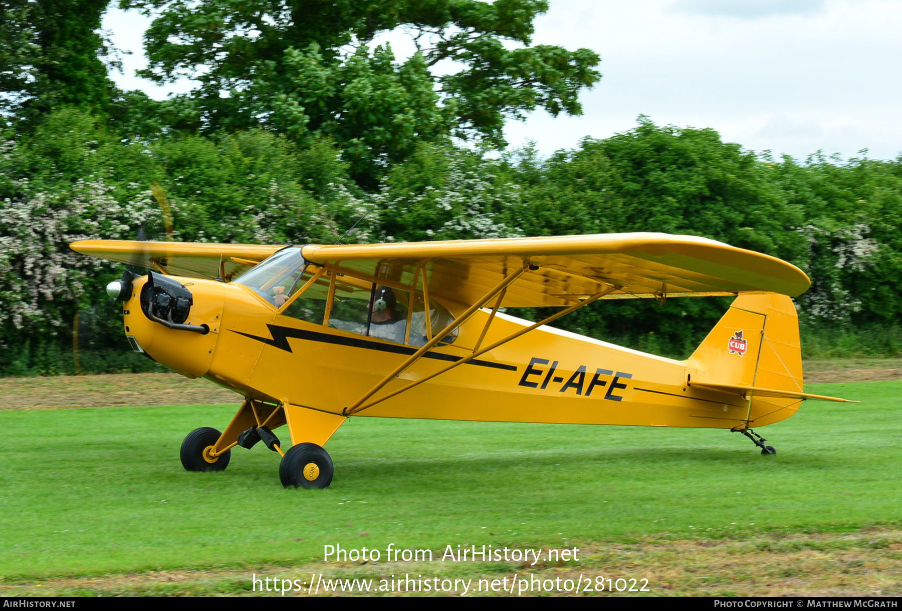 Aircraft Photo of EI-AFE | Piper J-3C-65 Cub | AirHistory.net #281022