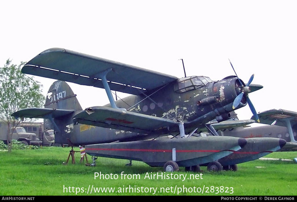 Aircraft Photo of 10997 | Nanchang Y5 | China - Air Force | AirHistory.net #283823