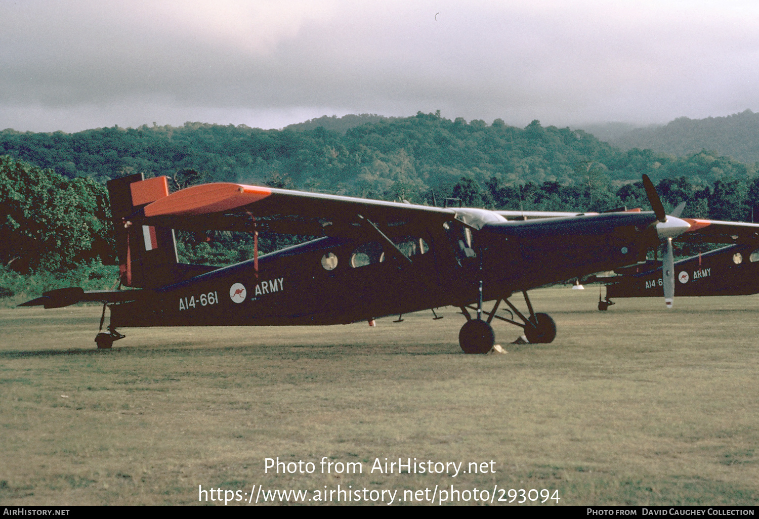 Aircraft Photo of A14-661 | Pilatus PC-6/B1-H2 Turbo Porter | Australia - Army | AirHistory.net #293094