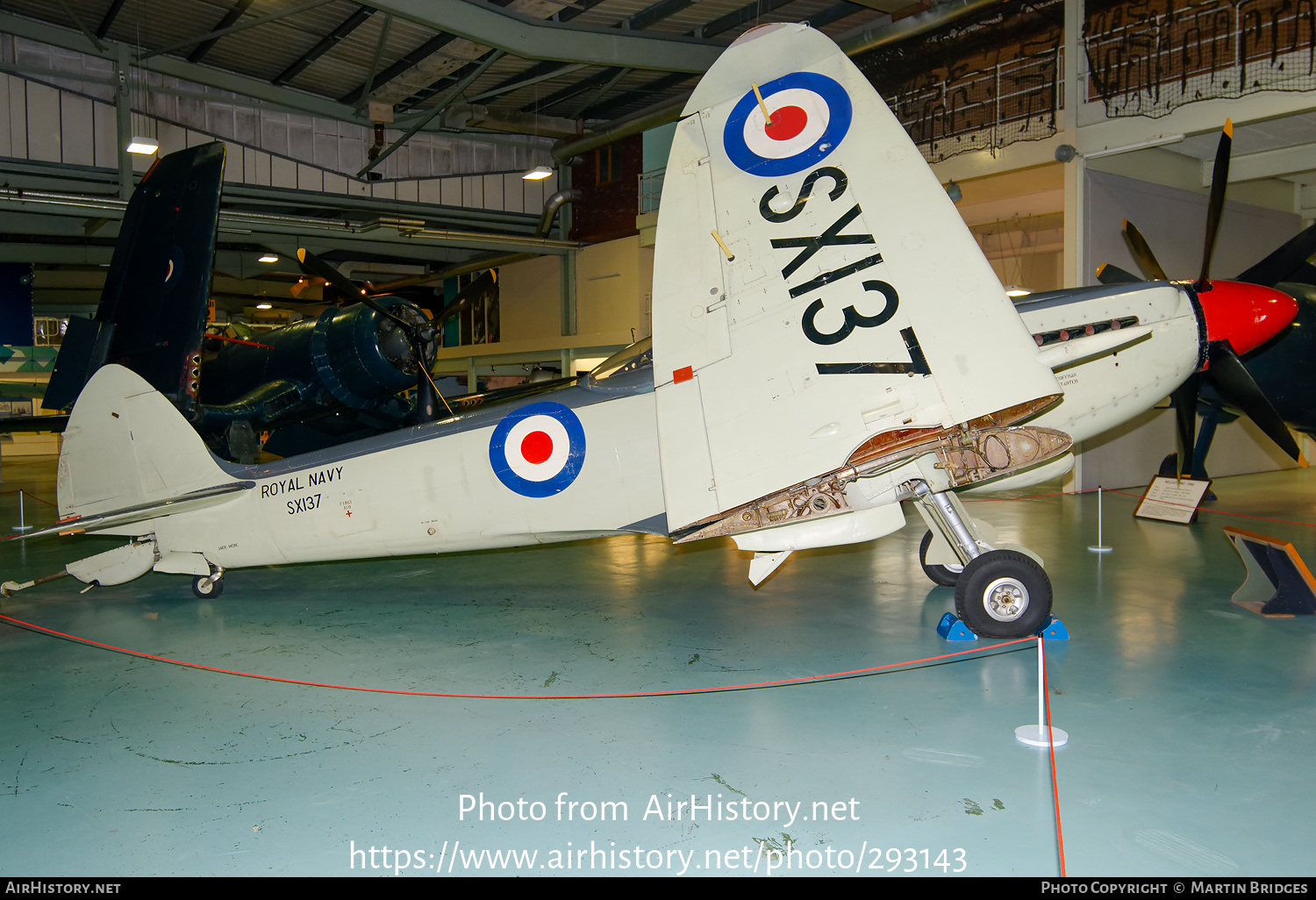 Aircraft Photo of SX137 | Supermarine 395 Seafire F17 | UK - Navy | AirHistory.net #293143