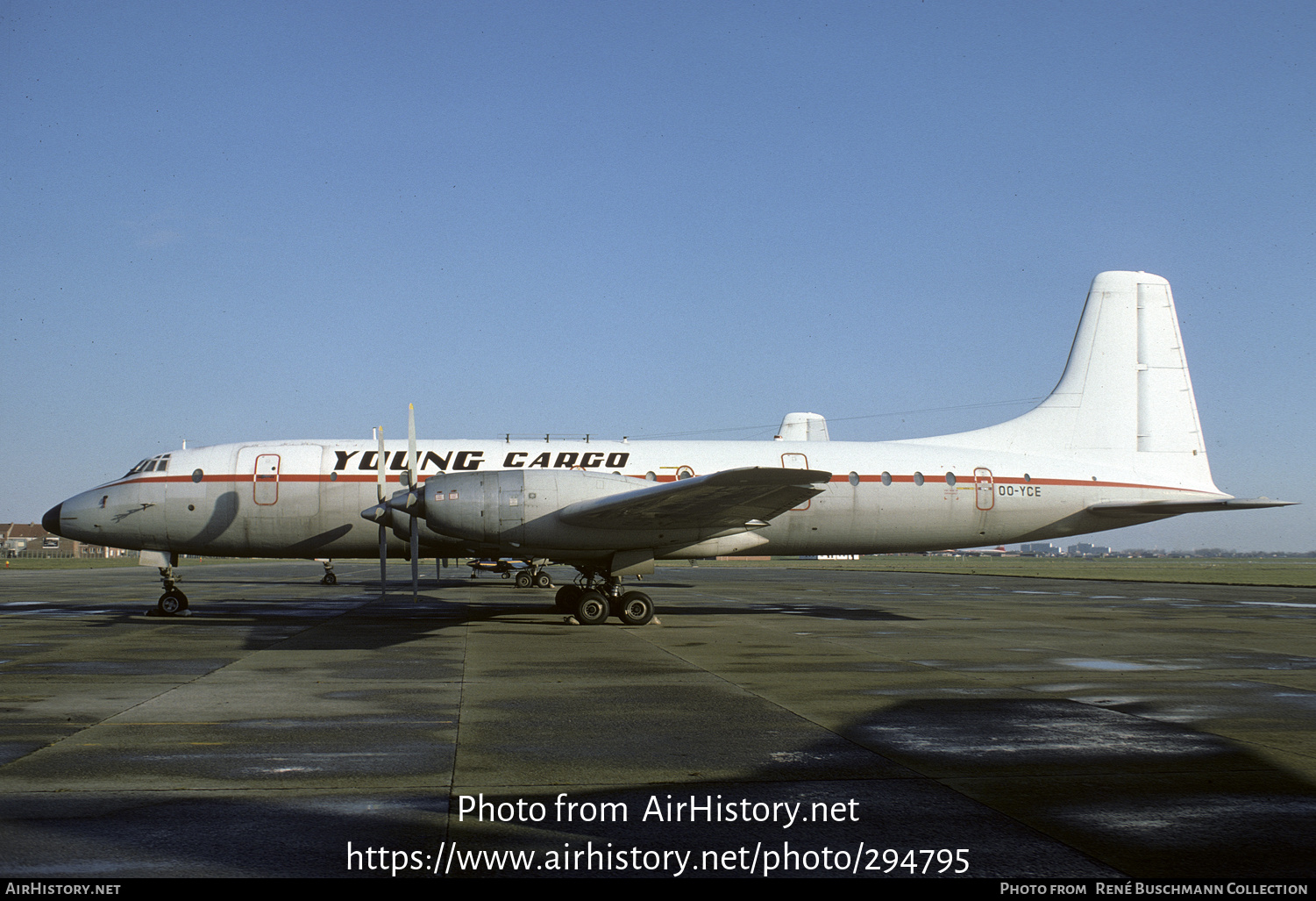 Aircraft Photo of OO-YCE | Bristol 175 Britannia 253F | Young Cargo | AirHistory.net #294795