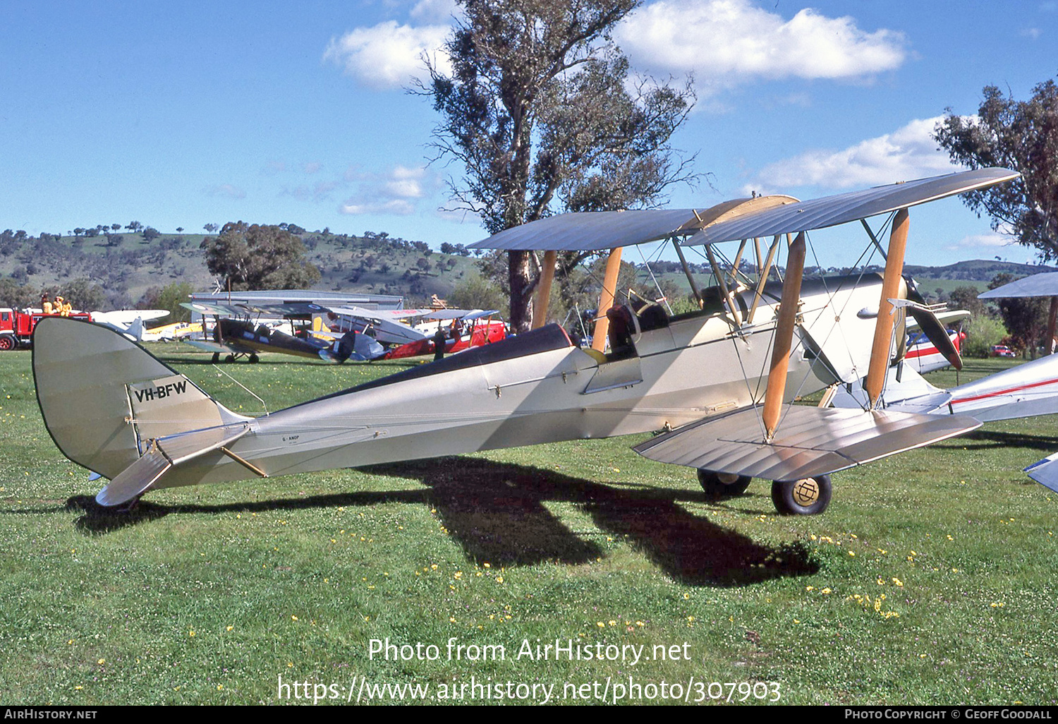 Aircraft Photo of VH-BFW | De Havilland D.H. 82A Tiger Moth | AirHistory.net #307903