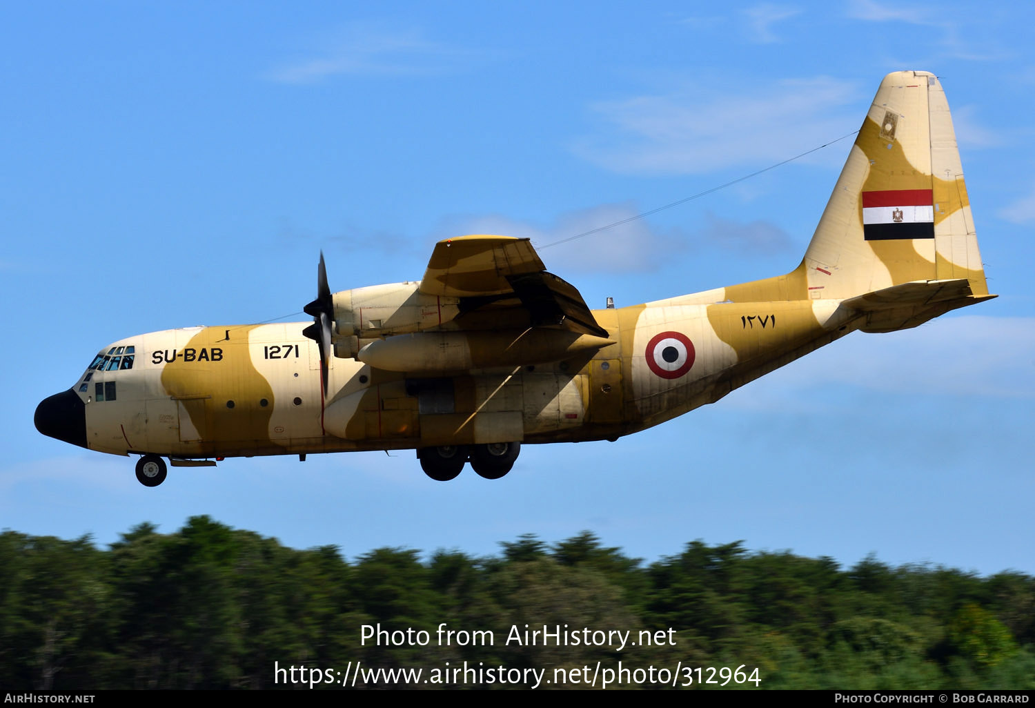 Aircraft Photo of 1271 / ۱۲۷۱ | Lockheed C-130H Hercules | Egypt - Air Force | AirHistory.net #312964