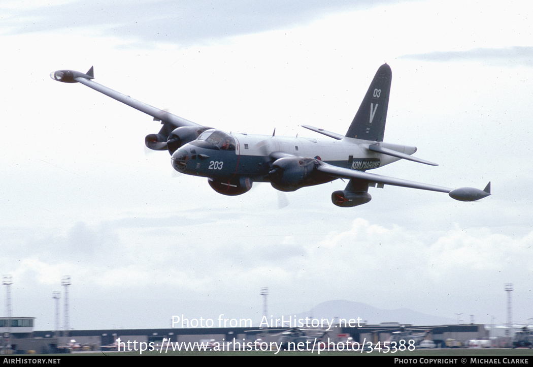 Aircraft Photo of 203 | Lockheed SP-2H Neptune | Netherlands - Navy | AirHistory.net #345388