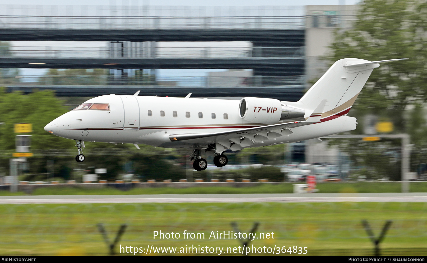 Aircraft Photo of T7-VIP | Bombardier Challenger 604 (CL-600-2B16) | AirHistory.net #364835