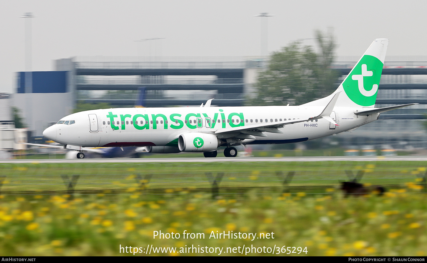 Aircraft Photo of PH-HXC | Boeing 737-8K2 | Transavia | AirHistory.net #365294