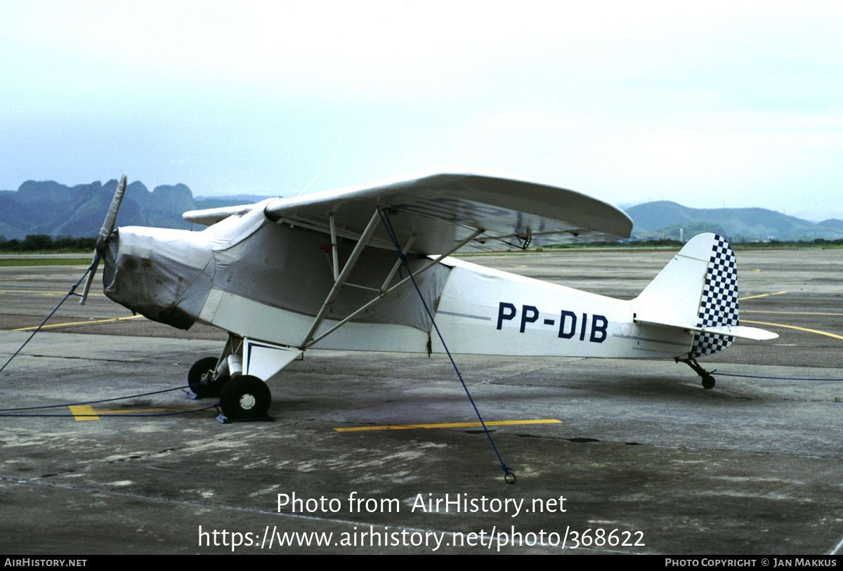 Aircraft Photo of PP-DIB | Piper J-3C-65 Cub | AirHistory.net #368622