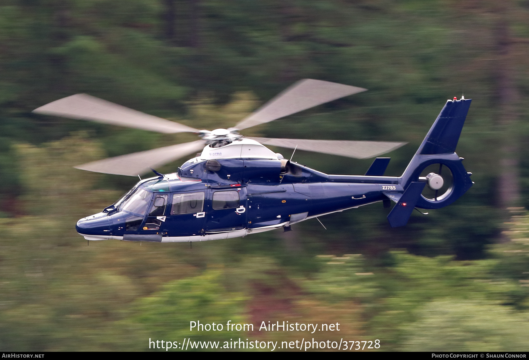 Aircraft Photo of ZJ785 | Airbus Helicopters AS365N3 Dauphin AH1 | UK - Army | AirHistory.net #373728