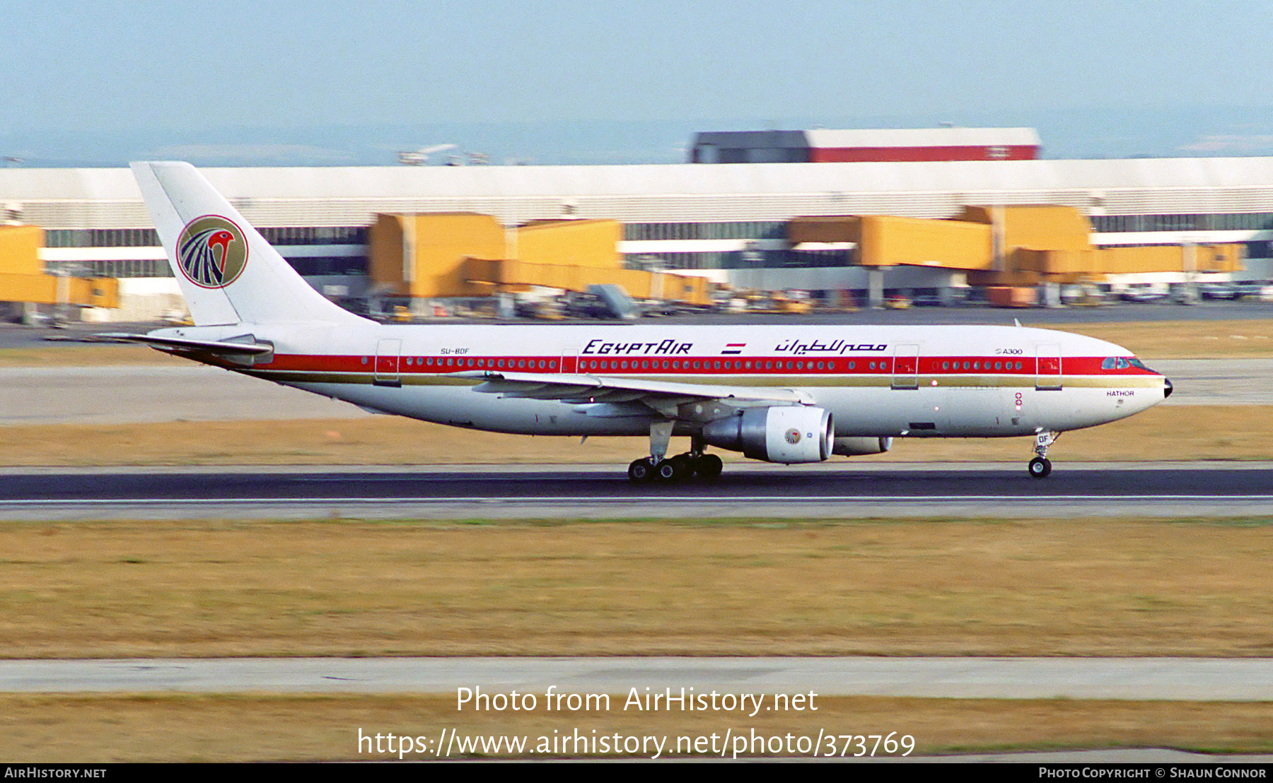 Aircraft Photo of SU-BDF | Airbus A300B4-203 | EgyptAir | AirHistory.net #373769