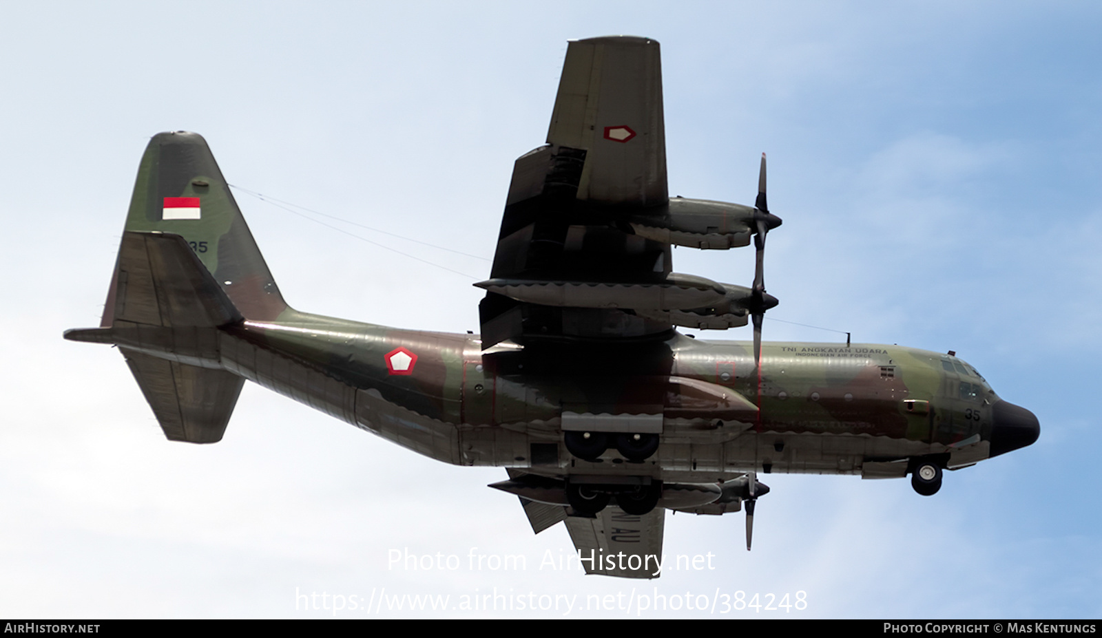 Aircraft Photo of A-1335 | Lockheed C-130H Hercules | Indonesia - Air Force | AirHistory.net #384248