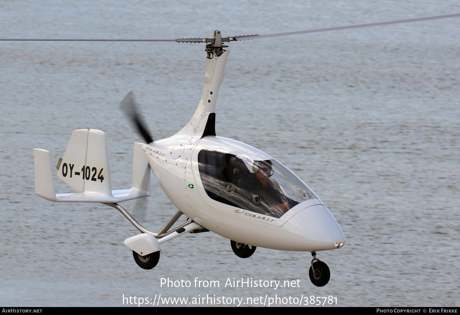 Aircraft Photo of OY-1024 | AutoGyro Europe Calidus | AirHistory.net #385781