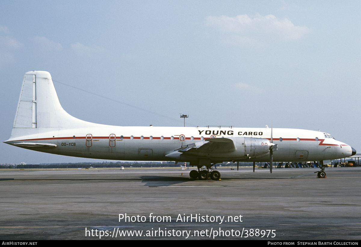 Aircraft Photo of OO-YCB | Bristol 175 Britannia 253F | Young Cargo | AirHistory.net #388975