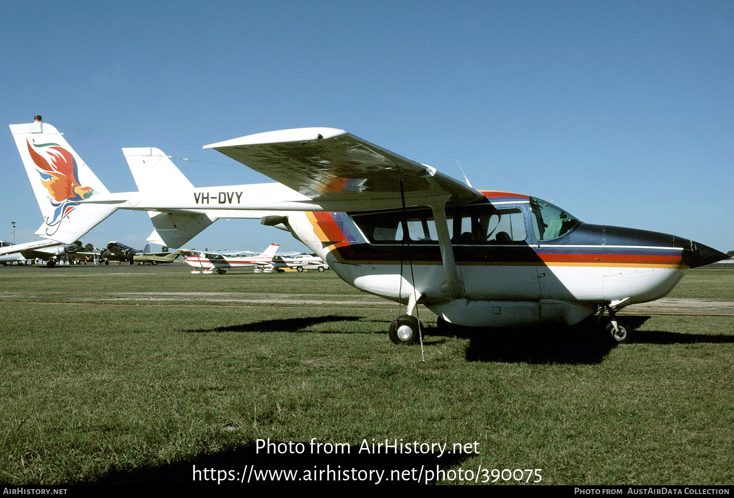 Aircraft Photo of VH-DVY | Cessna 337 Super Skymaster | AirHistory.net #390075