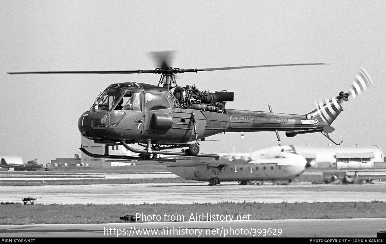 Aircraft Photo of XP887 | Westland Scout AH1 (P-531-2) | UK - Marines | AirHistory.net #393629