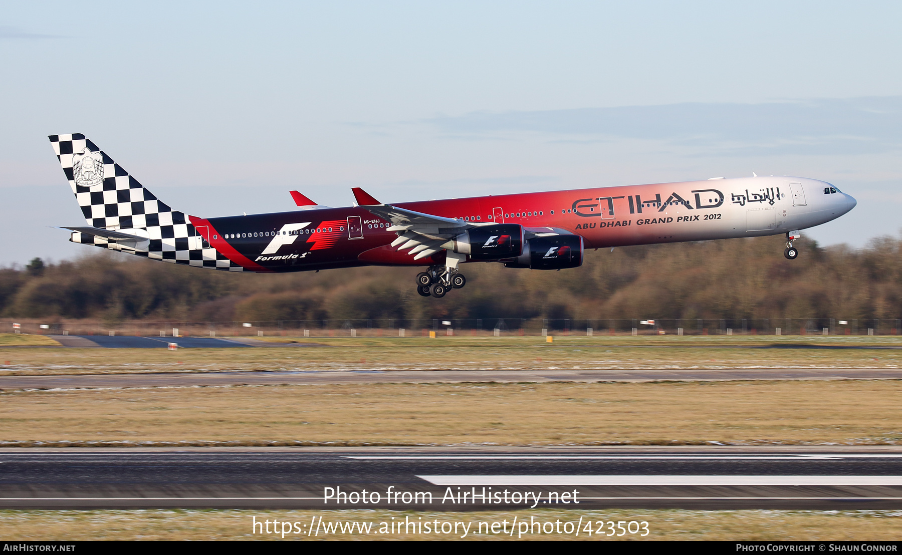 Aircraft Photo of A6-EHJ | Airbus A340-642 | Etihad Airways | AirHistory.net #423503