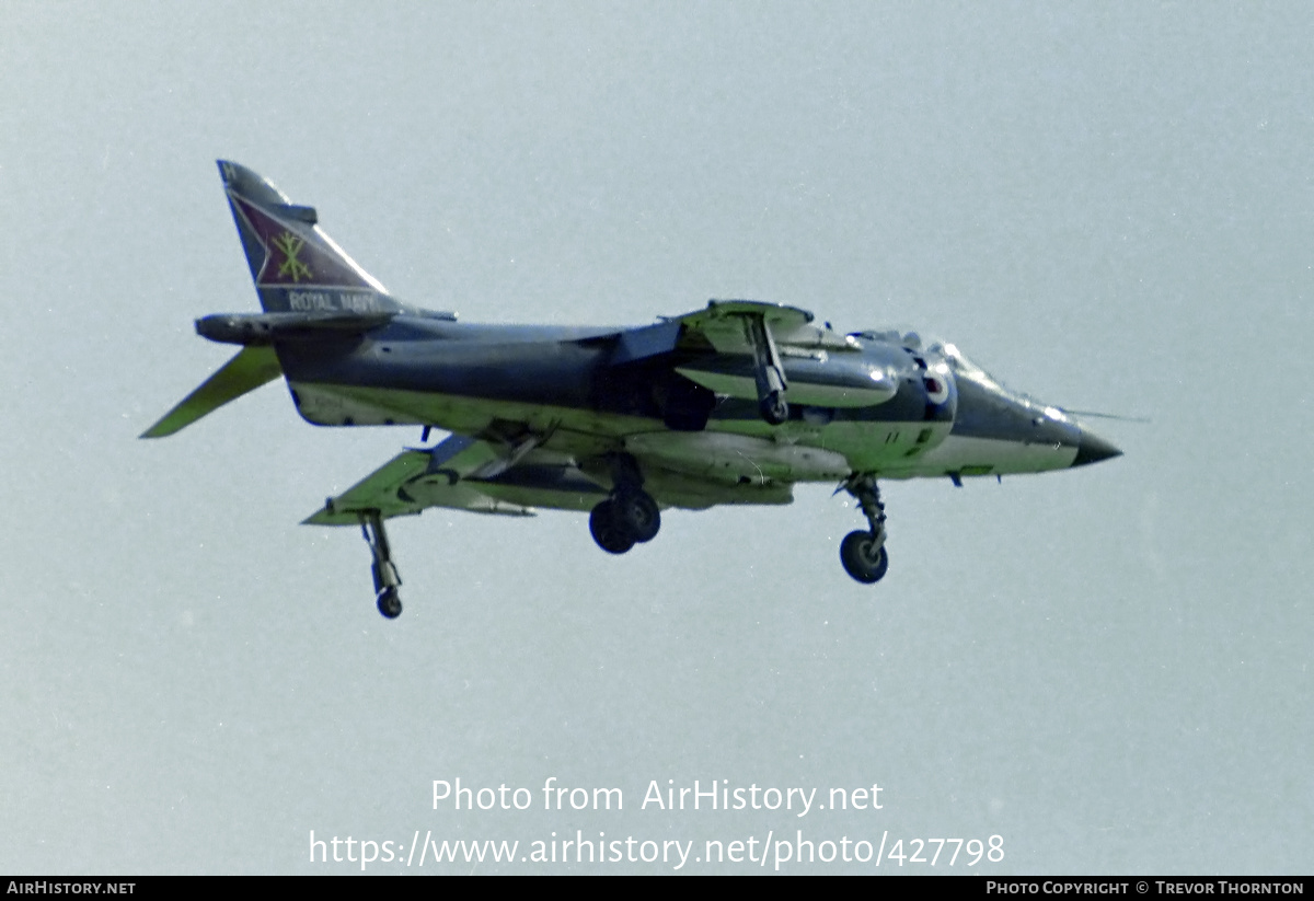 Aircraft Photo of XZ459 | British Aerospace Sea Harrier FRS1 | UK - Navy | AirHistory.net #427798