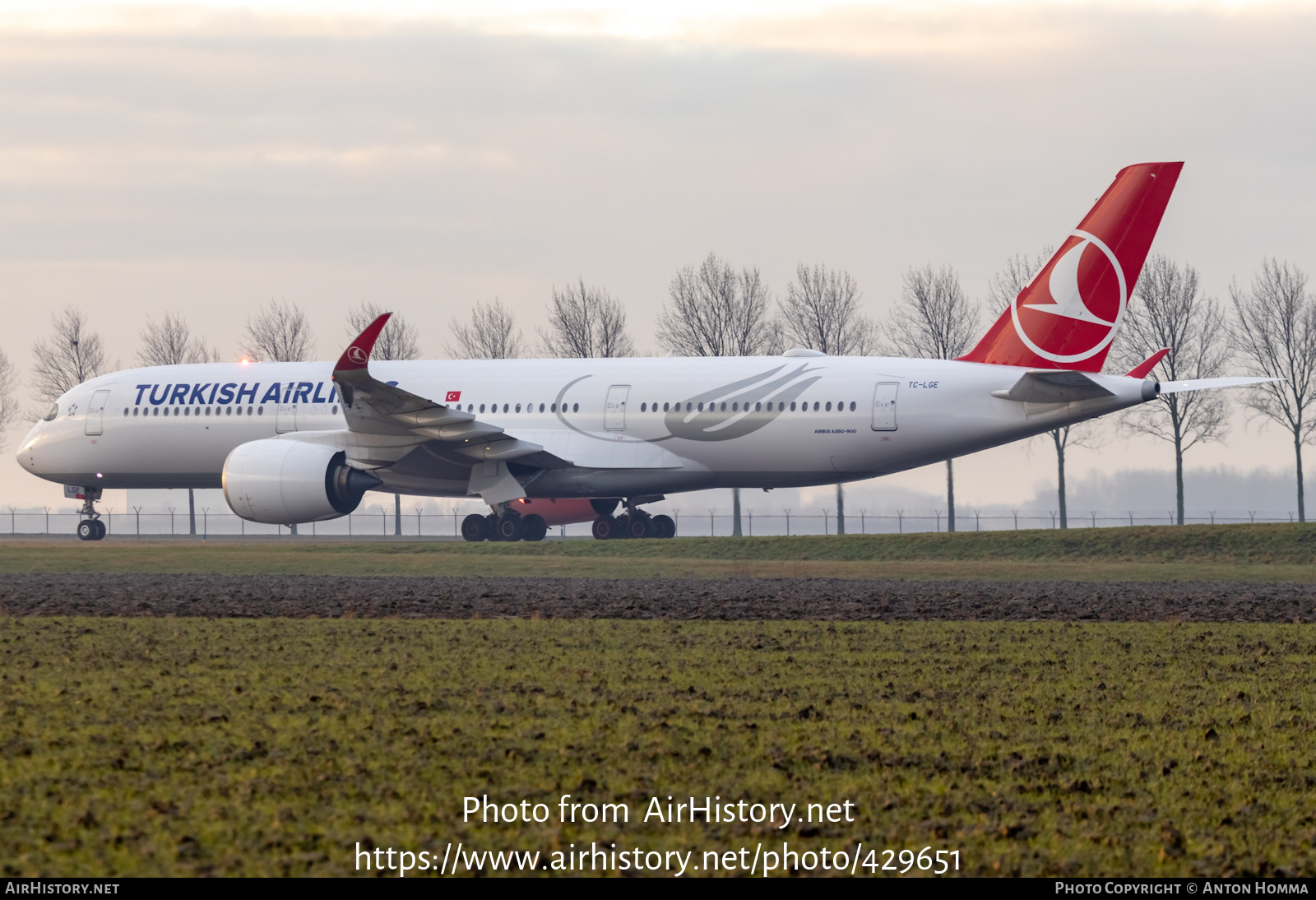 Aircraft Photo of TC-LGE | Airbus A350-941 | Turkish Airlines | AirHistory.net #429651