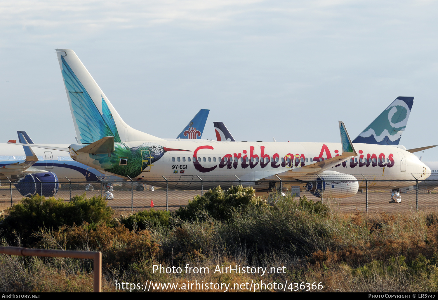 Aircraft Photo of 9Y-BGI | Boeing 737-8Q8 | Caribbean Airlines | AirHistory.net #436366