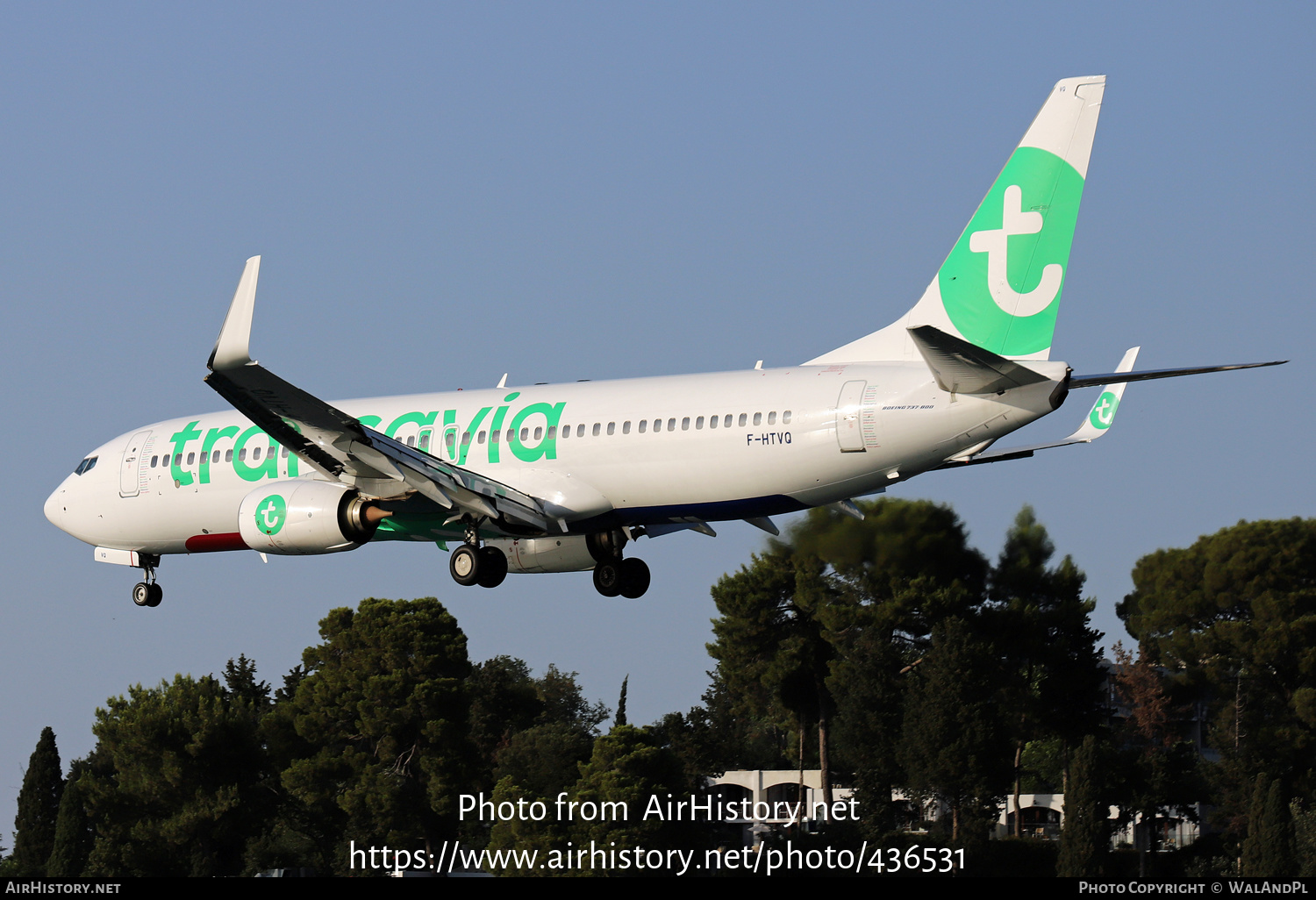 Aircraft Photo of F-HTVQ | Boeing 737-8AL | Transavia | AirHistory.net #436531