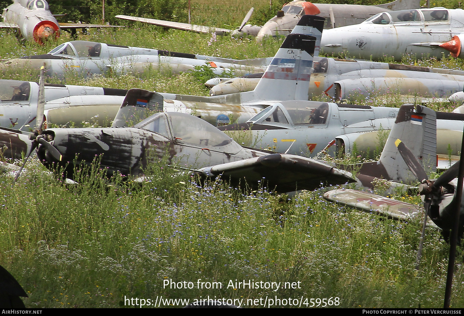 Aircraft Photo of 30155 | Soko J-20 Kraguj | Serbia - Air Force | AirHistory.net #459568