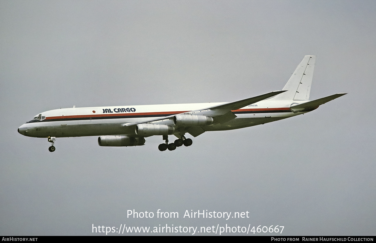 Aircraft Photo of JA8036 | McDonnell Douglas DC-8-62AF | Japan Air Lines - JA Cargo | AirHistory.net #460667