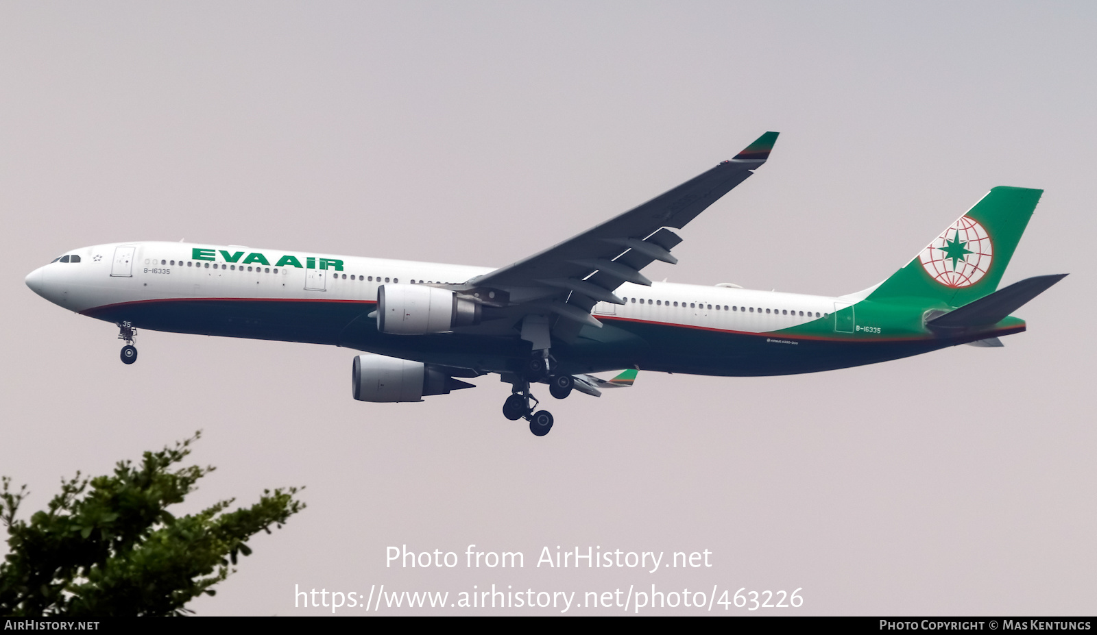 Aircraft Photo of B-16335 | Airbus A330-302E | EVA Air | AirHistory.net #463226