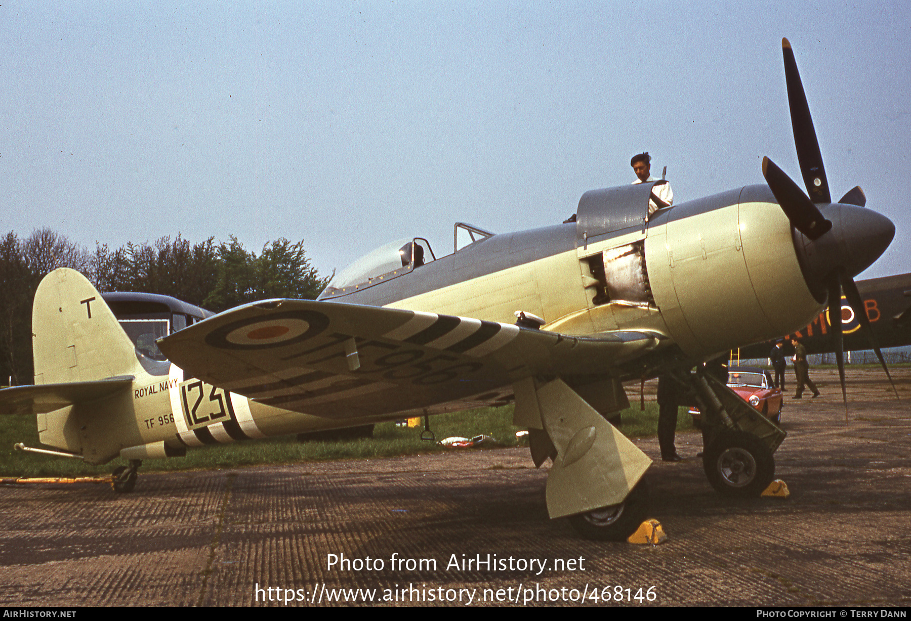 Aircraft Photo of TF956 | Hawker Sea Fury FB11 | UK - Navy | AirHistory.net #468146