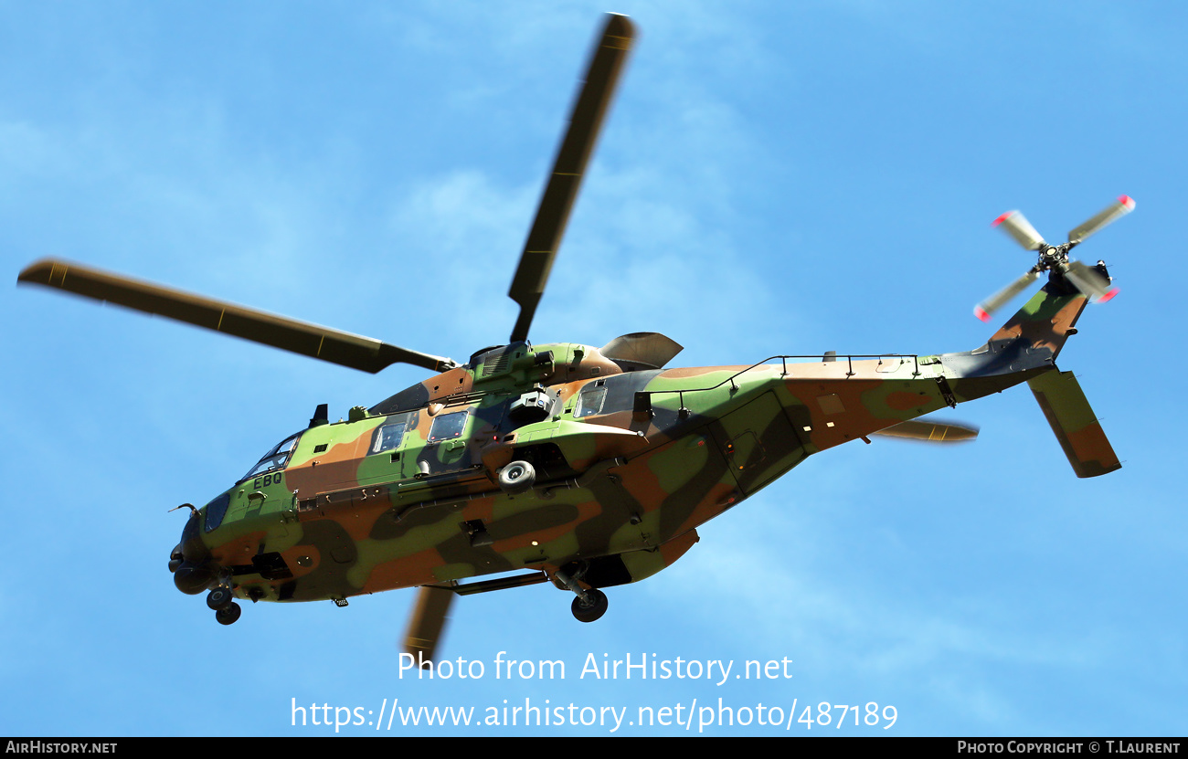 Aircraft Photo of 1442 | NHI NH90 TTH Caiman | France - Army | AirHistory.net #487189