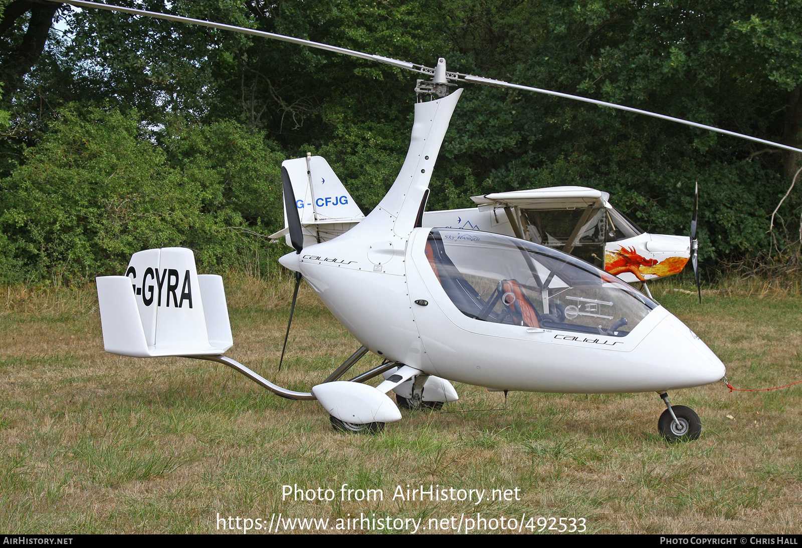 Aircraft Photo of G-GYRA | RotorSport UK Calidus | AirHistory.net #492533