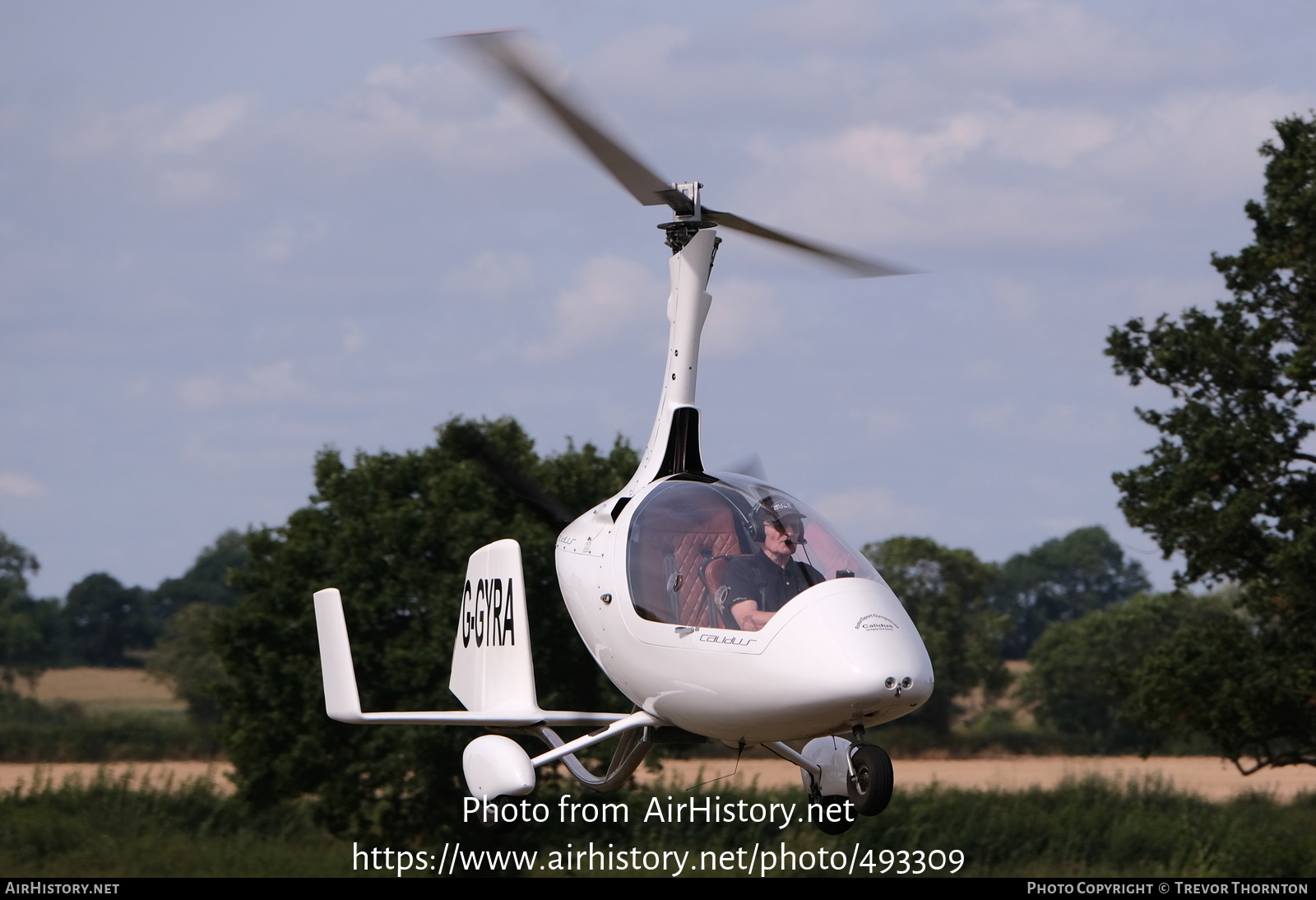 Aircraft Photo of G-GYRA | RotorSport UK Calidus | AirHistory.net #493309