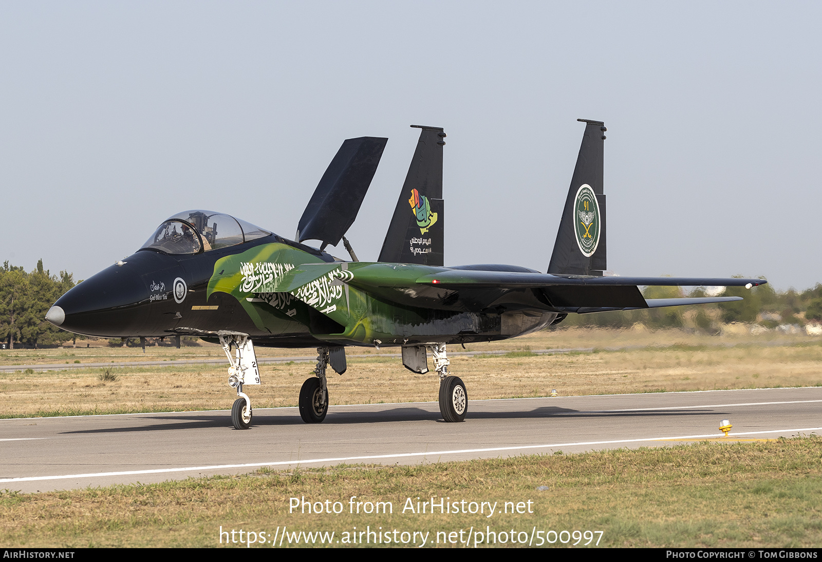 Aircraft Photo of 219 | McDonnell Douglas F-15C Eagle | Saudi Arabia - Air Force | AirHistory.net #500997