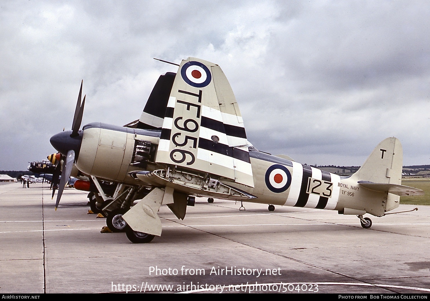 Aircraft Photo of TF956 | Hawker Sea Fury FB11 | UK - Navy | AirHistory.net #504023