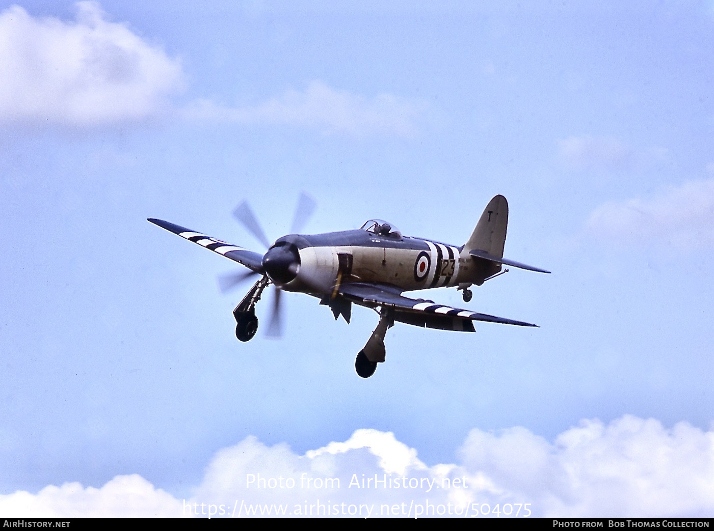 Aircraft Photo of TF956 | Hawker Sea Fury FB11 | UK - Navy | AirHistory.net #504075