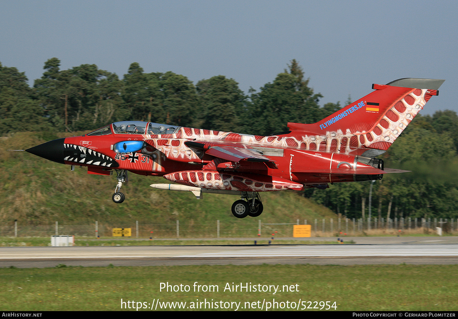 Aircraft Photo of 4631 | Panavia Tornado ECR | Germany - Air Force | AirHistory.net #522954