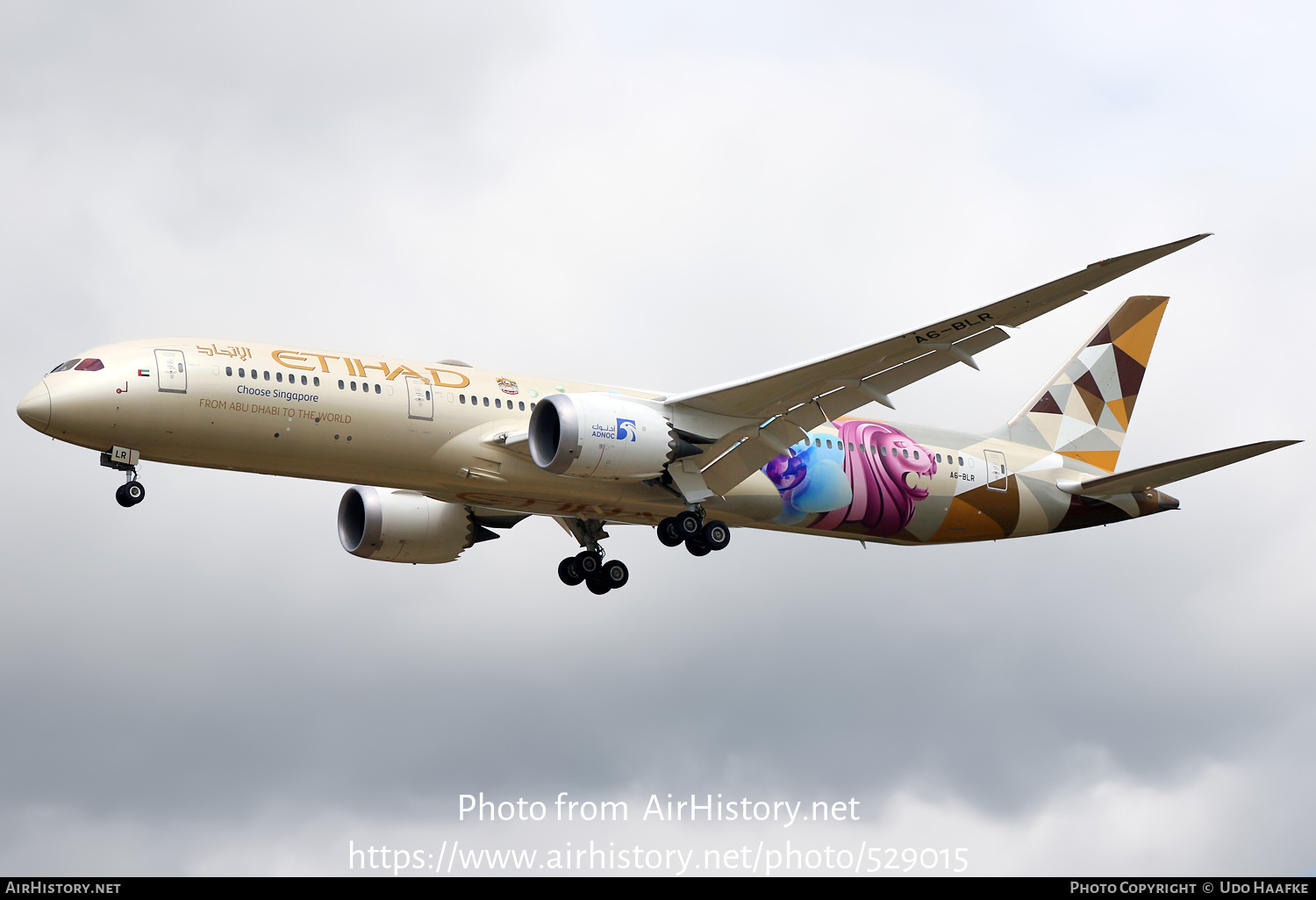 Aircraft Photo of A6-BLR | Boeing 787-9 Dreamliner | Etihad Airways | AirHistory.net #529015