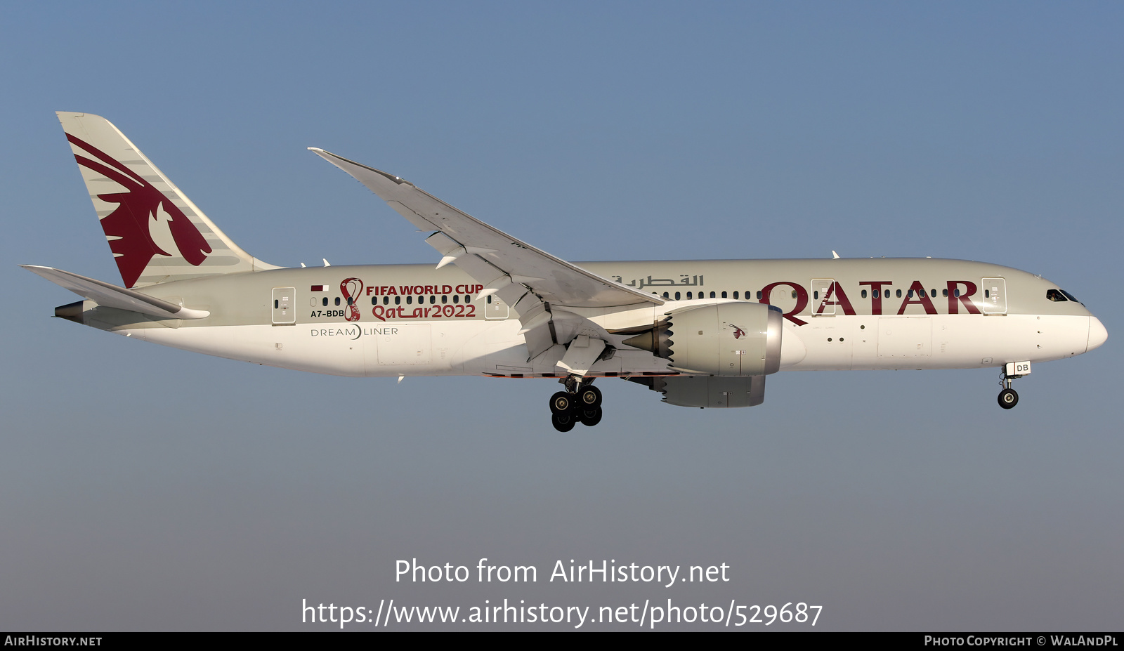 Aircraft Photo of A7-BDB | Boeing 787-8 Dreamliner | Qatar Airways | AirHistory.net #529687