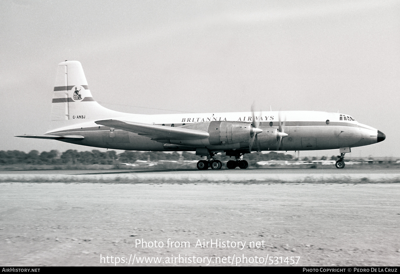 Aircraft Photo of G-ANBJ | Bristol 175 Britannia 102 | Britannia Airways | AirHistory.net #531457