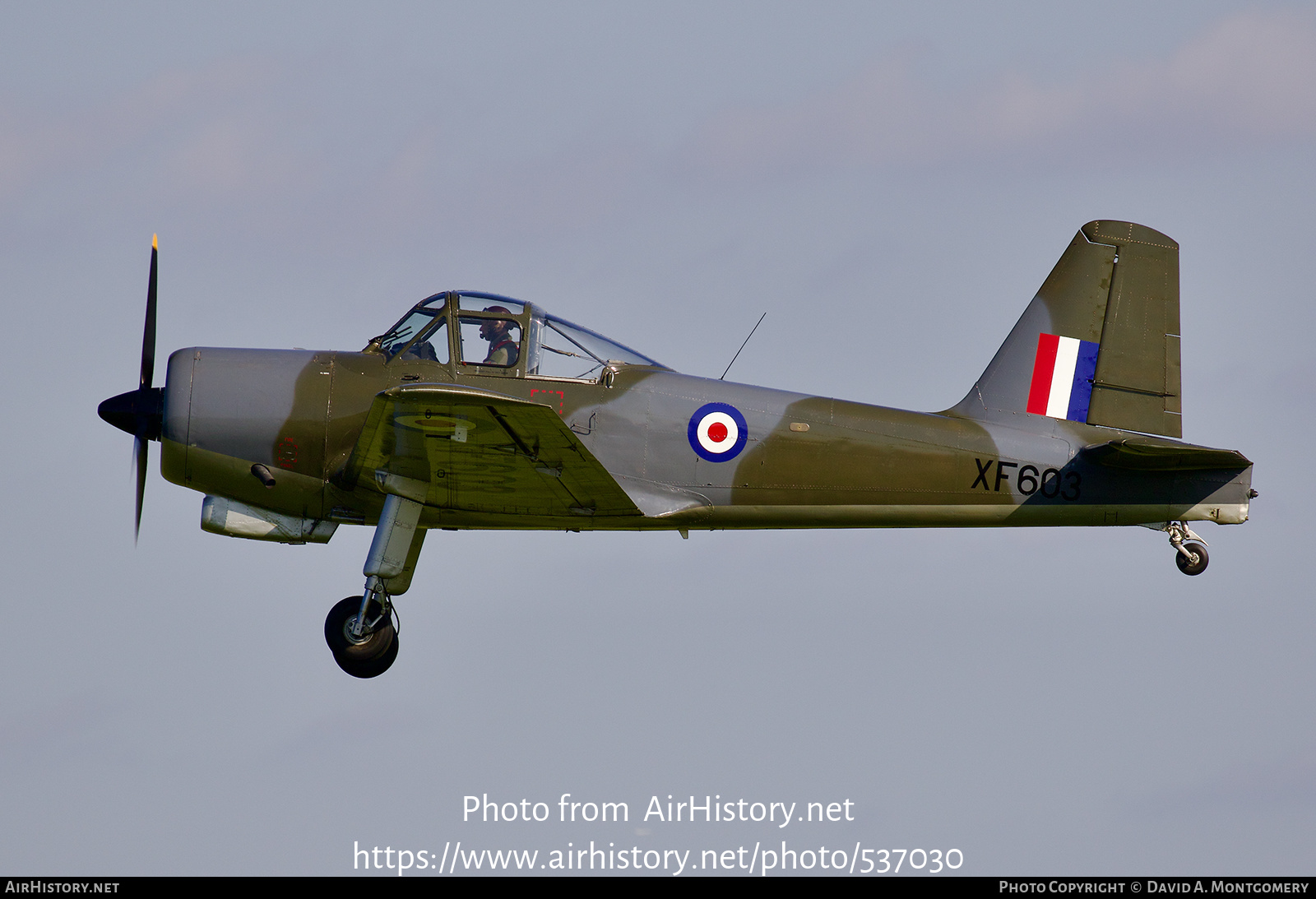 Aircraft Photo of G-KAPW / XF603 | Percival P.56 Provost T1 | UK - Air Force | AirHistory.net #537030