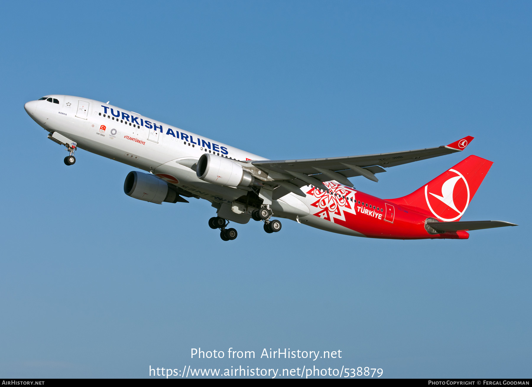 Aircraft Photo of TC-JNB | Airbus A330-203 | Turkish Airlines | AirHistory.net #538879