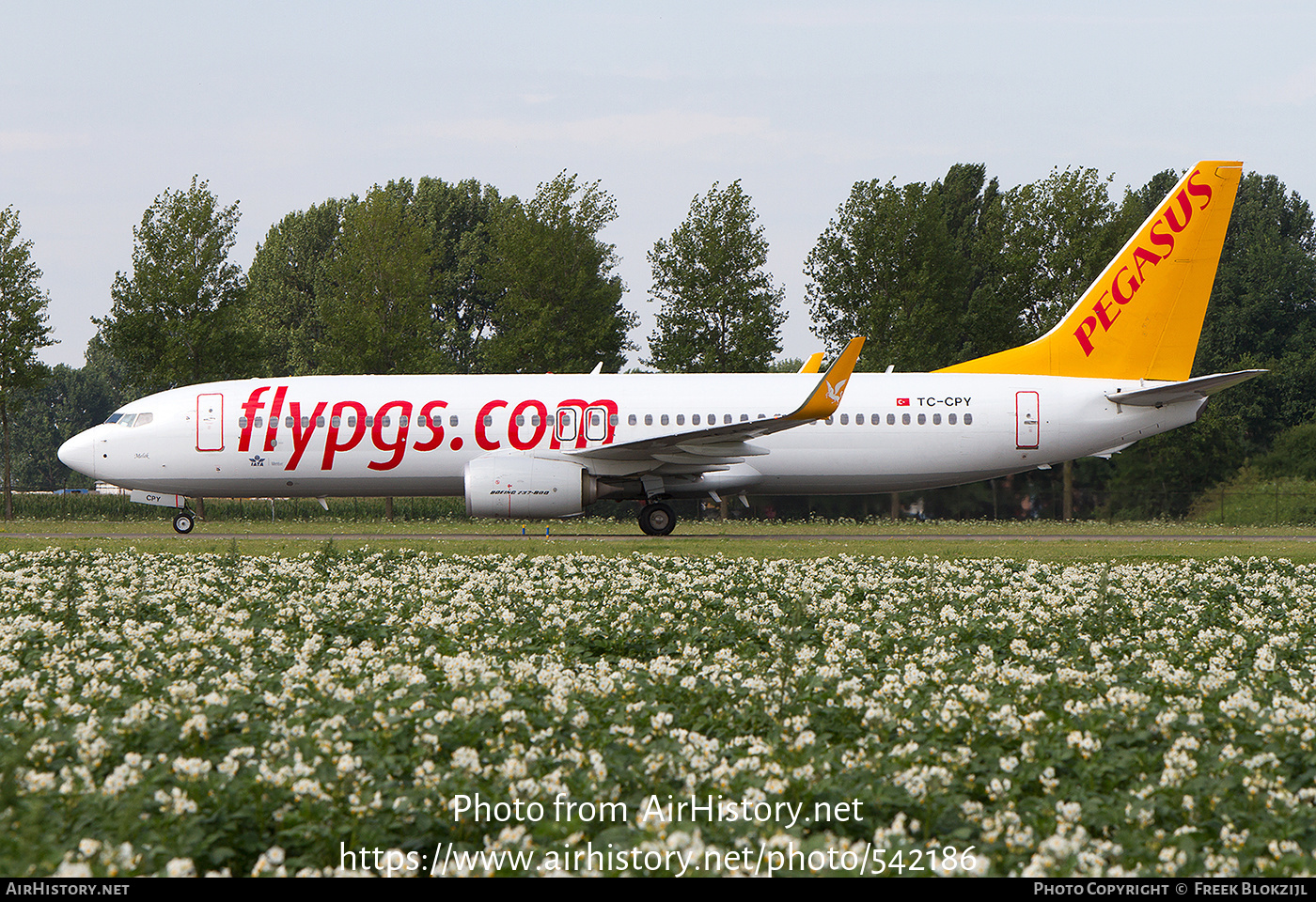 Aircraft Photo of TC-CPY | Boeing 737-8H6 | Pegasus Airlines | AirHistory.net #542186