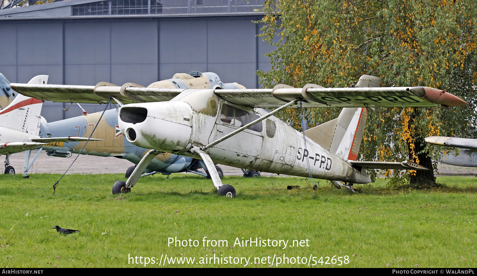 Aircraft Photo of SP-PRD | PZL-Okecie PZL-105L Flaming | PZL Okecie | AirHistory.net #542658