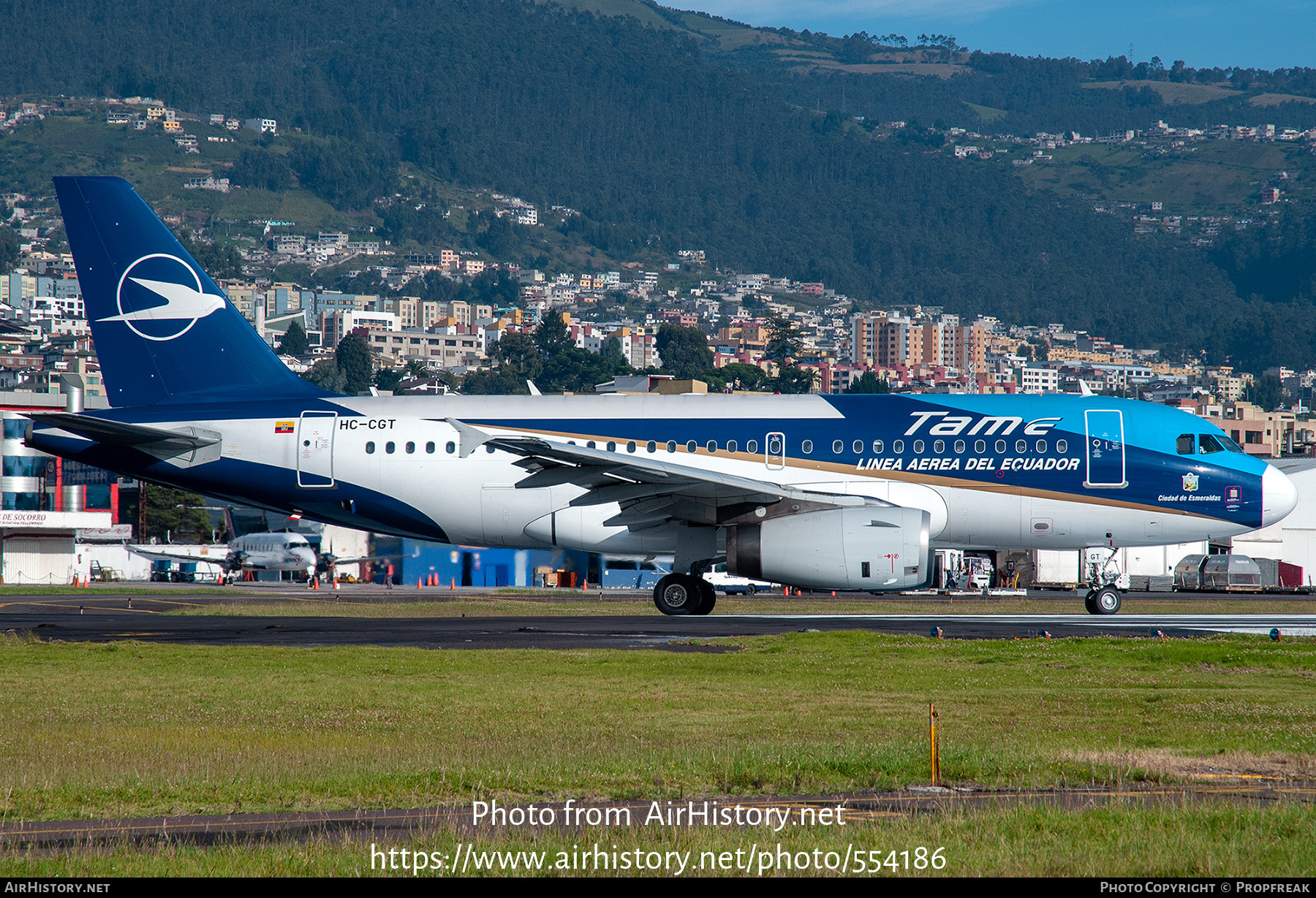 Aircraft Photo of HC-CGT | Airbus A319-132 | TAME Línea Aérea del Ecuador | AirHistory.net #554186